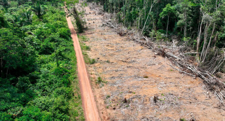 Polícia Federal de Rondônia realiza ação de combate a crimes ambientais em reserva extrativista - News Rondônia