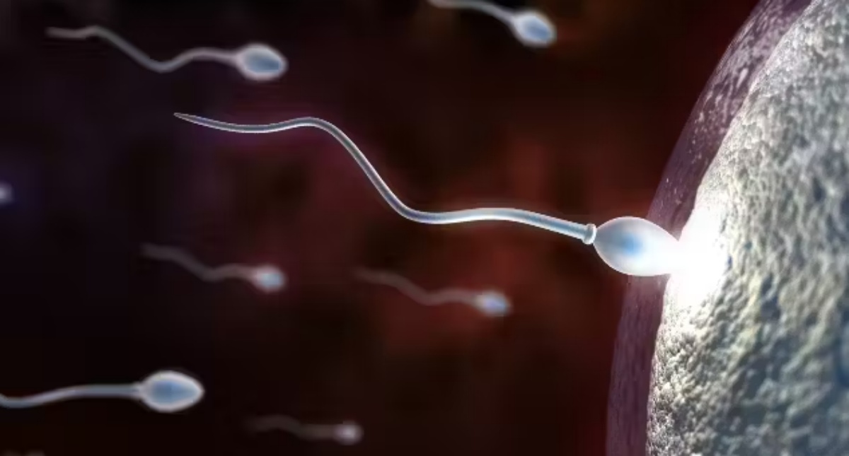 Primeiro gel anticoncepcional masculino tem 99% de eficácia em testes