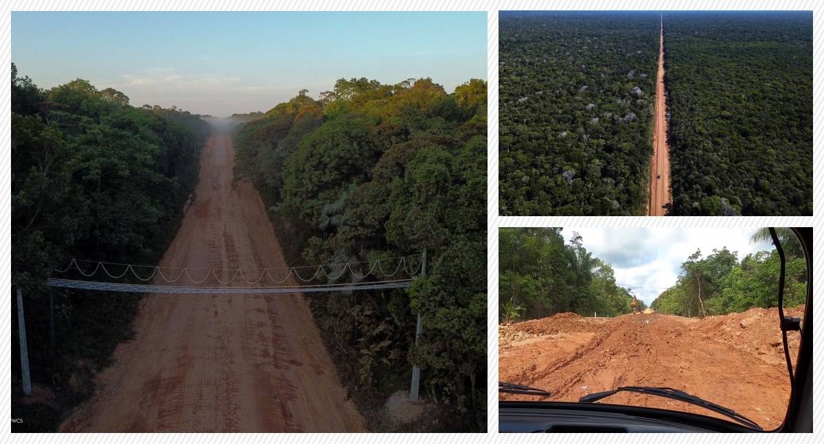 Fundo amazônia não pode ser usado na reconstrução da BR-319 - News Rondônia