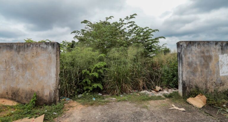 Departamento de Postura da Prefeitura segue com fiscalização de terrenos baldios