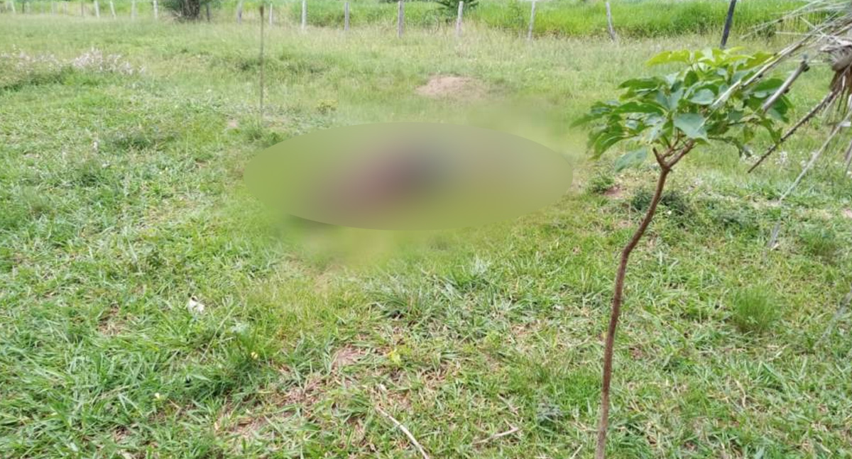 Homem cujo corpo foi encontrado esta semana em Cerejeiras teria sido assassinado com tiro na cabeça