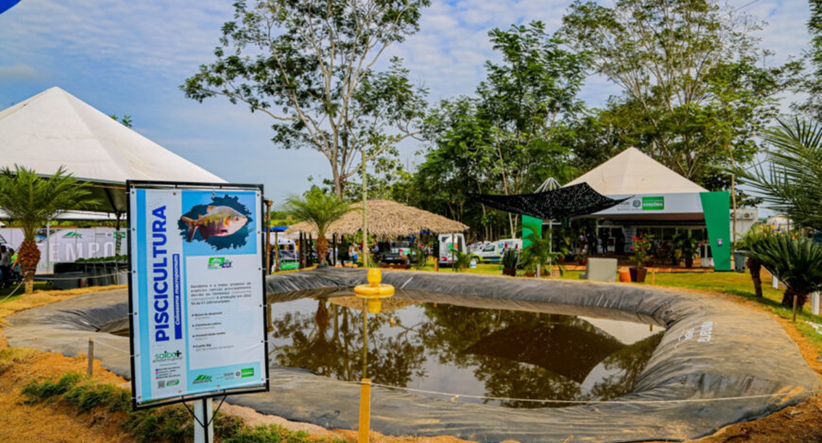 Novas vitrines tecnológicas mostrarão a riqueza agrícola na Rondônia Rural Show de 2024