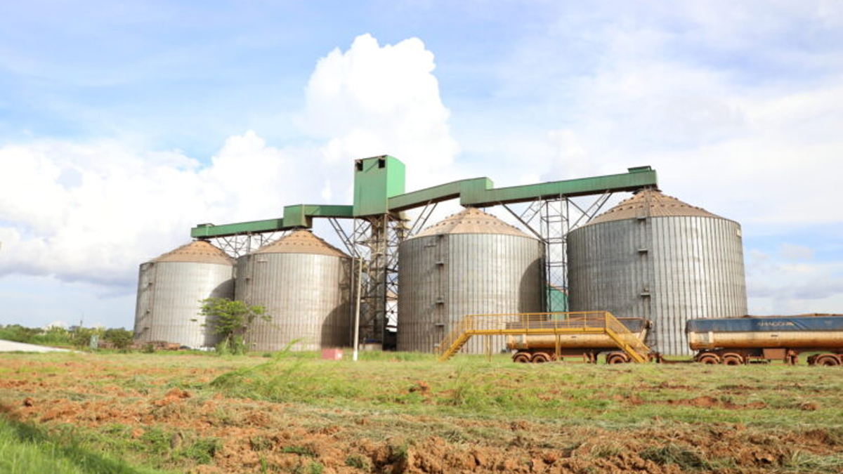 Fábrica de fertilizantes é instalada em Porto Velho com investimento de mais de R$ 82 milhões - News Rondônia Fábrica de fertilizantes é instalada em Porto Velho com investimento de mais de R$ 82 milhões - News Rondônia
