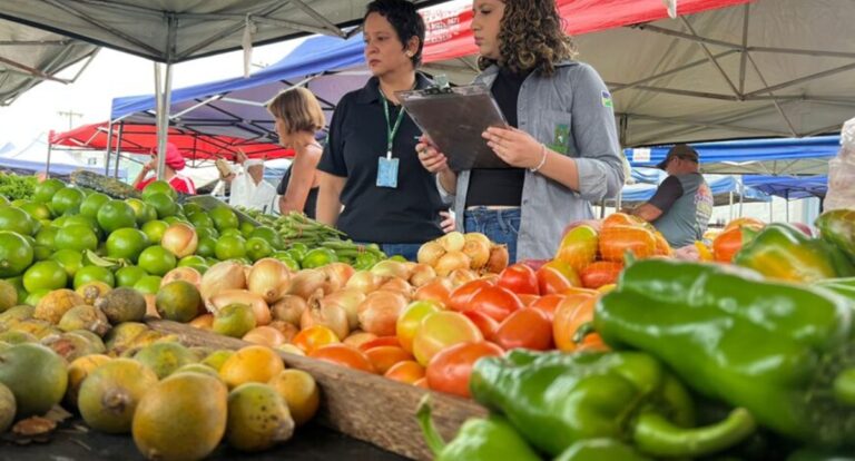 Programa de Aquisição de Alimentos impulsiona a agroindústria e fortalece setor agrícola