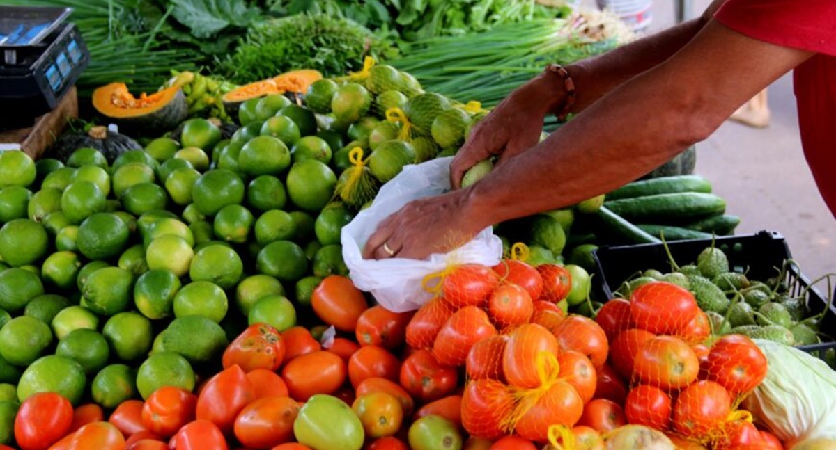 Programa de Aquisição de Alimentos impulsiona a agroindústria e fortalece setor agrícola