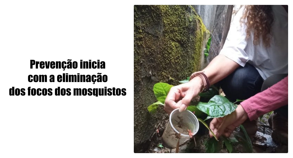 Pacientes com quadro grave de dengue são atendidos no Centro de Medicina Tropical de Rondônia