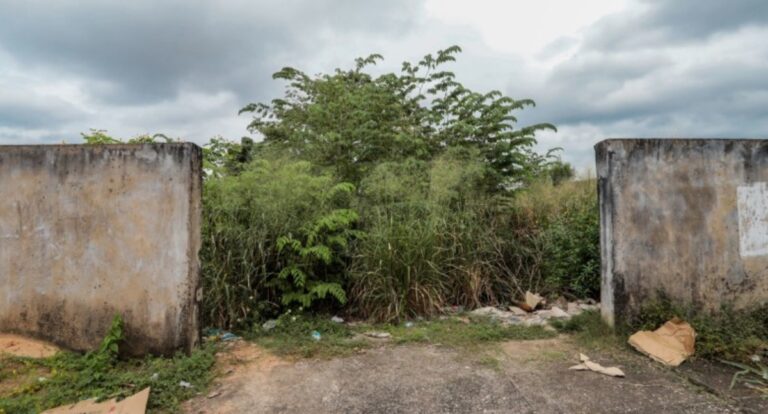 População pode denunciar irregularidades em terrenos baldios da capital