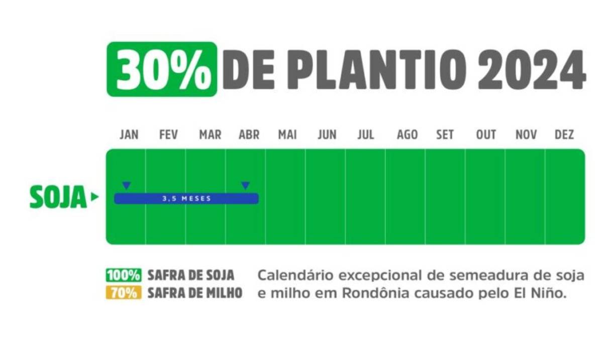 Rondônia mantém produtividade dentro da média nacional mesmo com reflexos do El Niño afetando o desenvolvimento da soja 