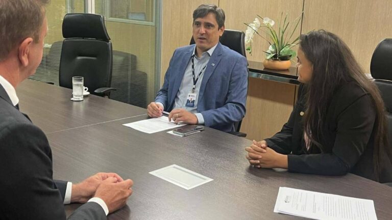 Dra. Taíssa discute cronograma de conclusão das pontes sobre os rios Araras e Ribeirão