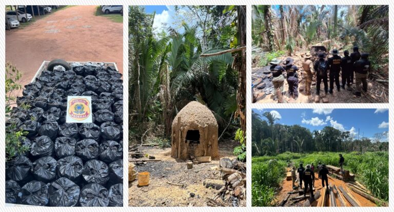 PF deflagra operação em combate a crimes ambientais em Rondônia - News Rondônia