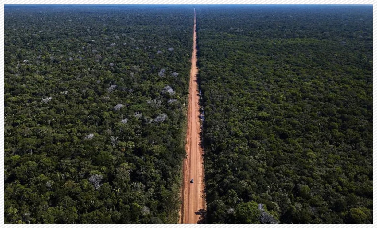Nature: artigo científico pontua tragédias com a reconstrução da BR-319 - News Rondônia