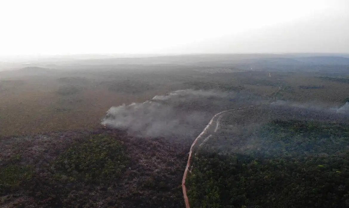 Área queimada no Brasil cresce 248% em relação a janeiro de 2023