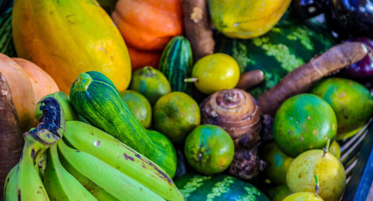 Chamada ao apoio à pesquisa e soluções inovadoras para a fruticultura mantida até 22 de março - News Rondônia
