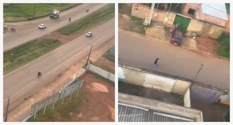 FUGA ALUCINANTE: Criminosos suspeitos de vários roubos são presos após perseguição do GAVE - Veja vídeo - News Rondônia
