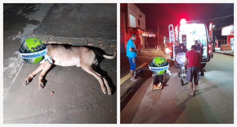 'Caramelo' morre atropelado e motociclista fica ferida na zona leste - News Rondônia
