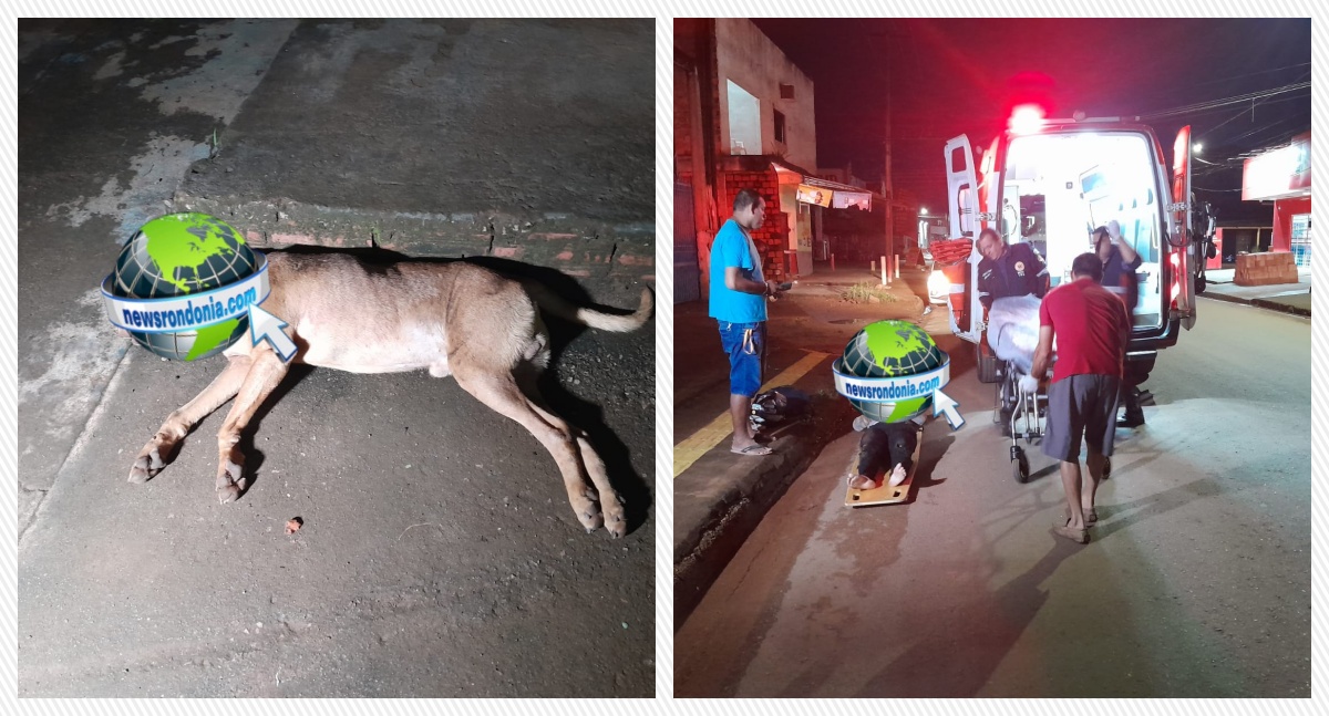 'Caramelo' morre atropelado e motociclista fica ferida na zona leste - News Rondônia