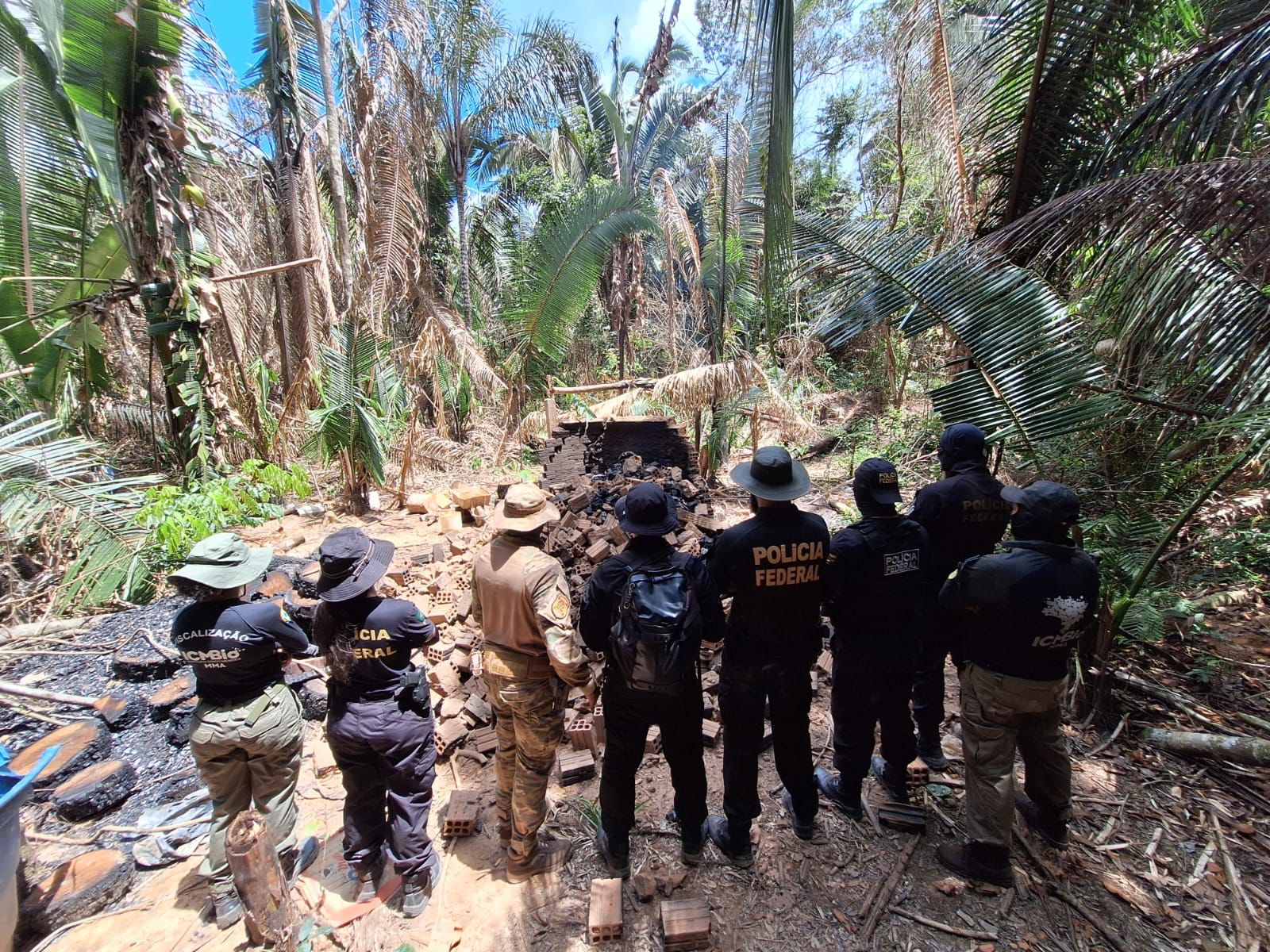 PF deflagra operação em combate a crimes ambientais em Rondônia - News Rondônia