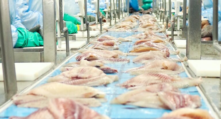 Faturamento de exportações da piscicultura brasileira cresce 4% em 2023