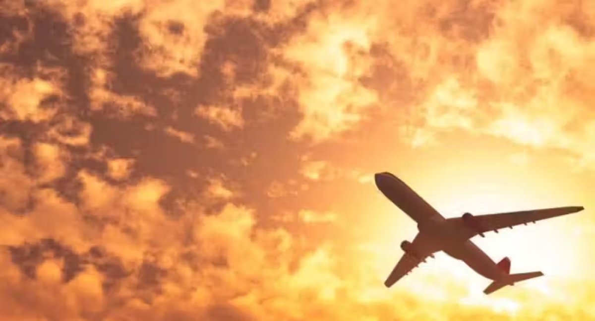 Andorinha, a nova companhia aérea brasileira, deve começar ainda este ano