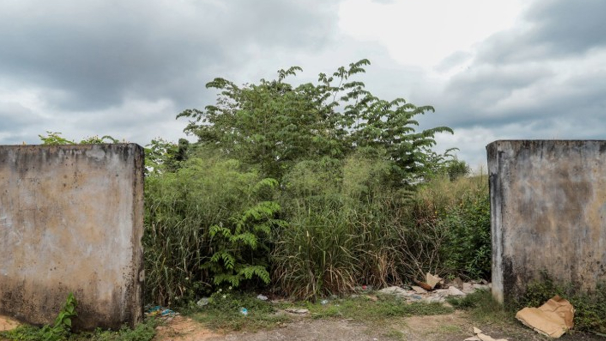 Prefeitura de Porto Velho notifica proprietários de terrenos baldios para que realizem a limpeza dos imóveis - News Rondônia