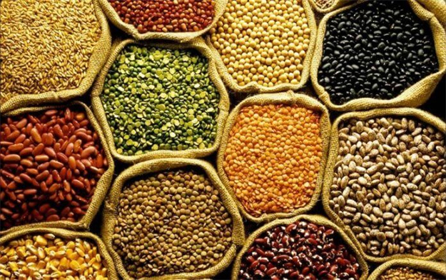 Conab aponta para uma produção de 295,6 milhões de toneladas de grãos na safra 2023/24