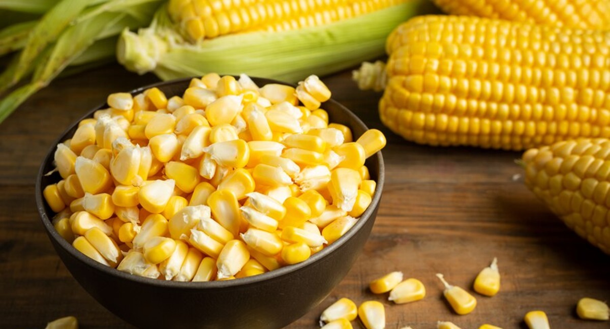 Bônus da PGPAF inclui milho e sorgo entre os produtos contemplados em março