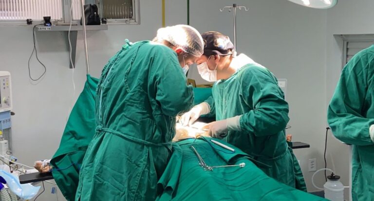 Indicação de Cláudia de Jesus prioriza servidores da saúde e melhorias nos atendimento