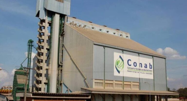 Condições climáticas atuam na oferta de frutas e hortaliças e influenciam preços, aponta boletim da Conab - News Rondônia