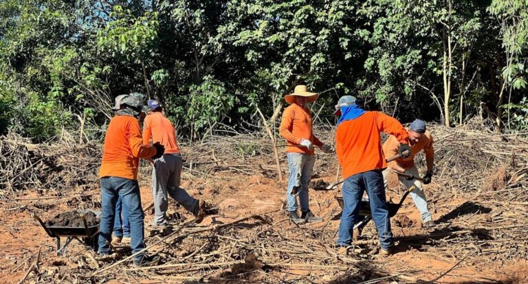 Projeto de reflorestamento fomenta ressocialização do Sistema Prisional em Vilhena