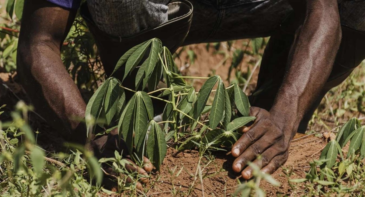 Famílias de Rondônia serão contempladas pelo Bolsa Verde do governo federal