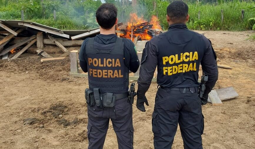 PF realiza ação de combate a crimes ambientais em Rondônia