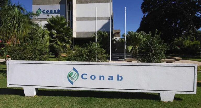 Conab colabora para redução de brasileiros em situação de insegurança alimentar grave