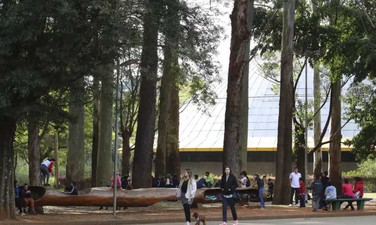 Após pandemia, cresce distância entre IDH de países ricos e pobres