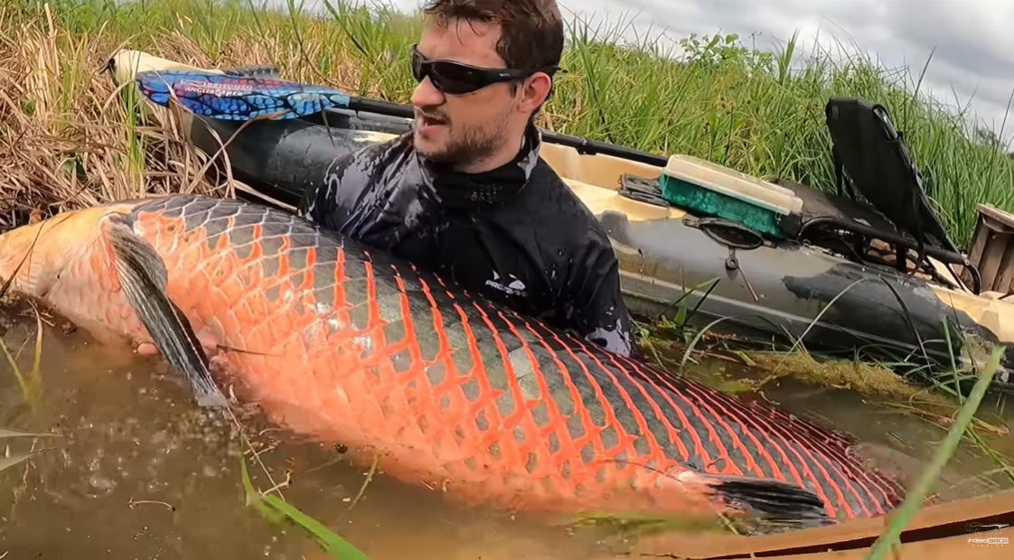 Pescador de Rondônia fisga pirarucu gigante - News Rondônia