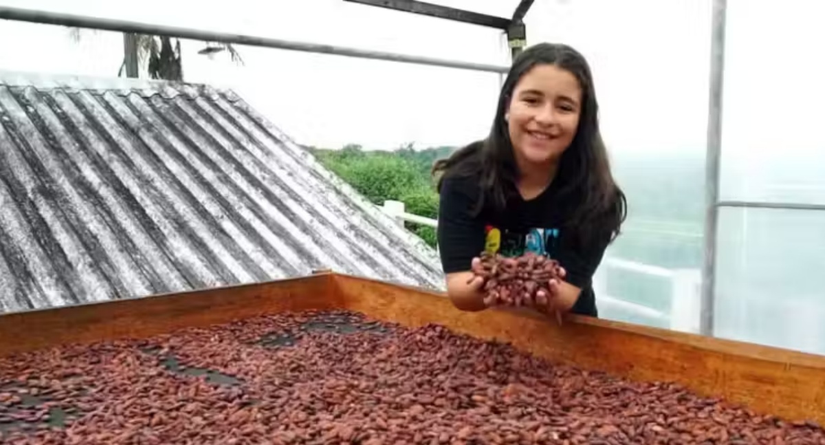 Menina brasileira de 11 anos cria fábrica de chocolate com cacau produzido pela família