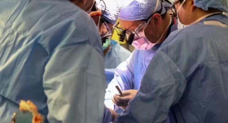 1° transplante de rim de porco para humano é feito por médico brasileiro nos EUA