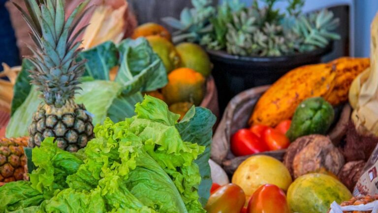 Governo de Rondônia lança Edital do Programa Estadual de Aquisição Alimentar e fortalece agricultura familiar