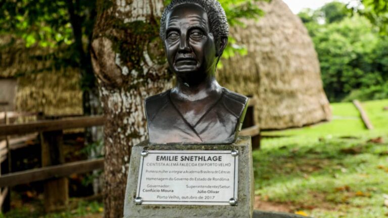 Busto em homenagem à primeira mulher a compor a Academia Brasileira de Ciências integra acervo do Memorial Rondon