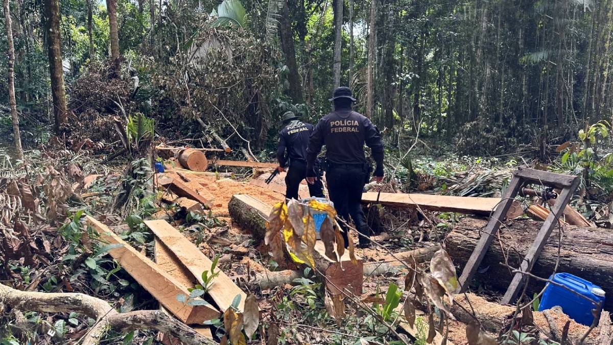 PF deflagra operação para combater crimes ambientais na Terra Indígena Igarapé Lage em Rondônia