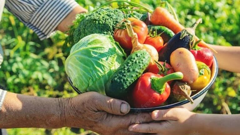 Feira de agricultura em Ji-Paraná é tema de reunião com Cláudia de Jesus em BSB