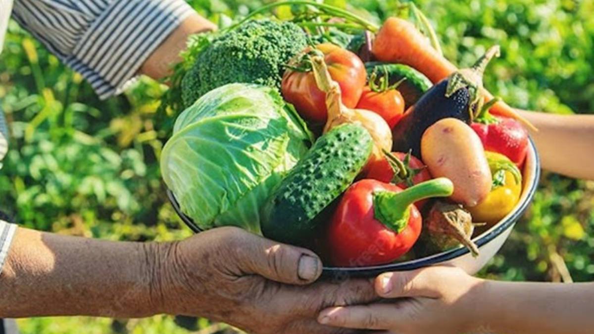Feira de agricultura em Ji-Paraná é tema de reunião com Cláudia de Jesus em BSB