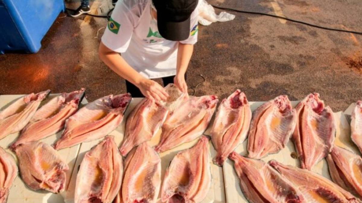 Para fortalecer as exportações, Governo de Rondônia apresenta Tambaqui nos Estados Unidos da América