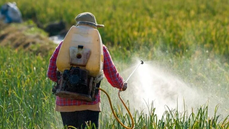 Cláudia de Jesus consegue monitoramento do território Puruborá contra a contaminação por agrotóxicos