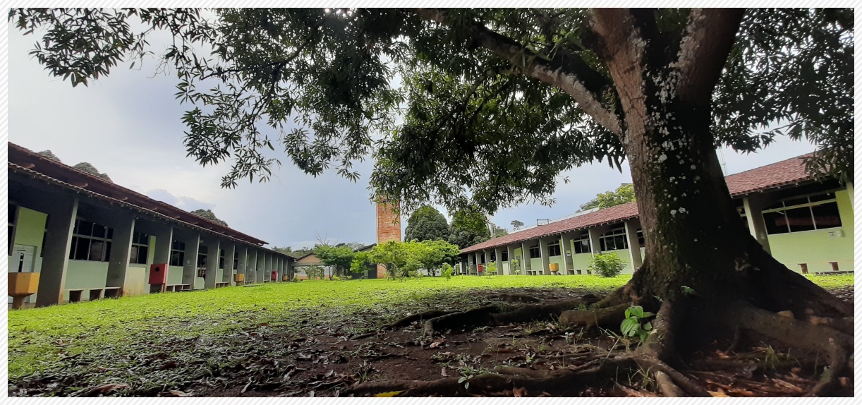 Fala entre os estudantes da UNIR revela desânimo; instituição parou no tempo - News Rondônia