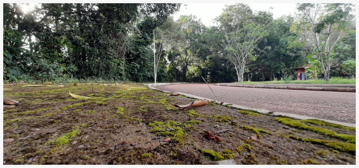 Fala entre os estudantes da UNIR revela desânimo; instituição parou no tempo - News Rondônia