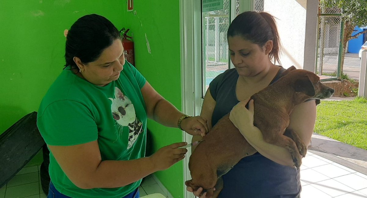Ação de vacinação no Bairro Novo imuniza mais de 600 animais contra a raiva - News Rondônia Ação de vacinação no Bairro Novo imuniza mais de 600 animais contra a raiva