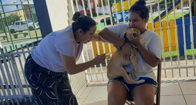 Ação de vacinação no Bairro Novo imuniza mais de 600 animais contra a raiva