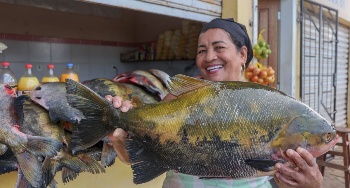 Moradores de Porto Velho têm opções para adquirir peixe fresco para a Sexta-feira Santa - News Rondônia Moradores de Porto Velho têm opções para adquirir peixe fresco para a Sexta-feira Santa - News Rondônia