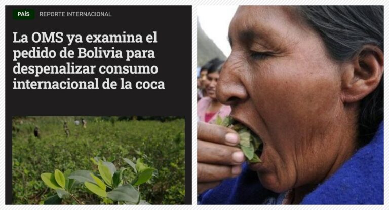 ONU pode descriminalizar a folha de coca para uso natural na Bolívia - News Rondônia