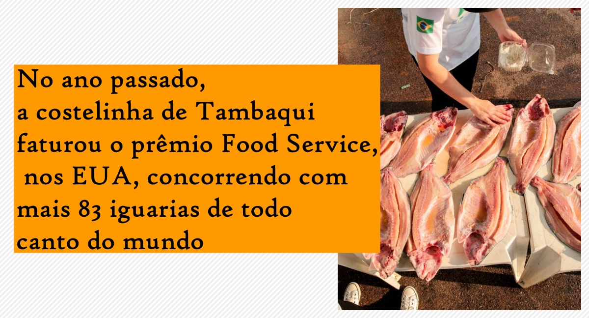 Governador Marcos Rocha projeta alta na exportação do Tambaqui após impulsionar nova linha de produção do agronegócio - News Rondônia